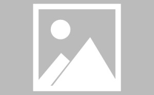 智齿科技客服系统，创新设计的现代解决方案